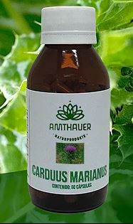 Carduus marianus 60 capsulas Amthauer