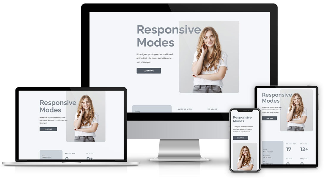 Diseo Web Wiblex