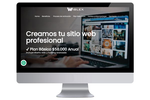 Diseo Web Profesional Wiblex