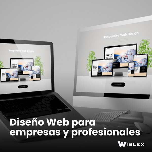 https://www.w8ns.com/w8panel/tuweb/imagenes/w/555/0-wiblex-cw555-20231222-12619.jpg