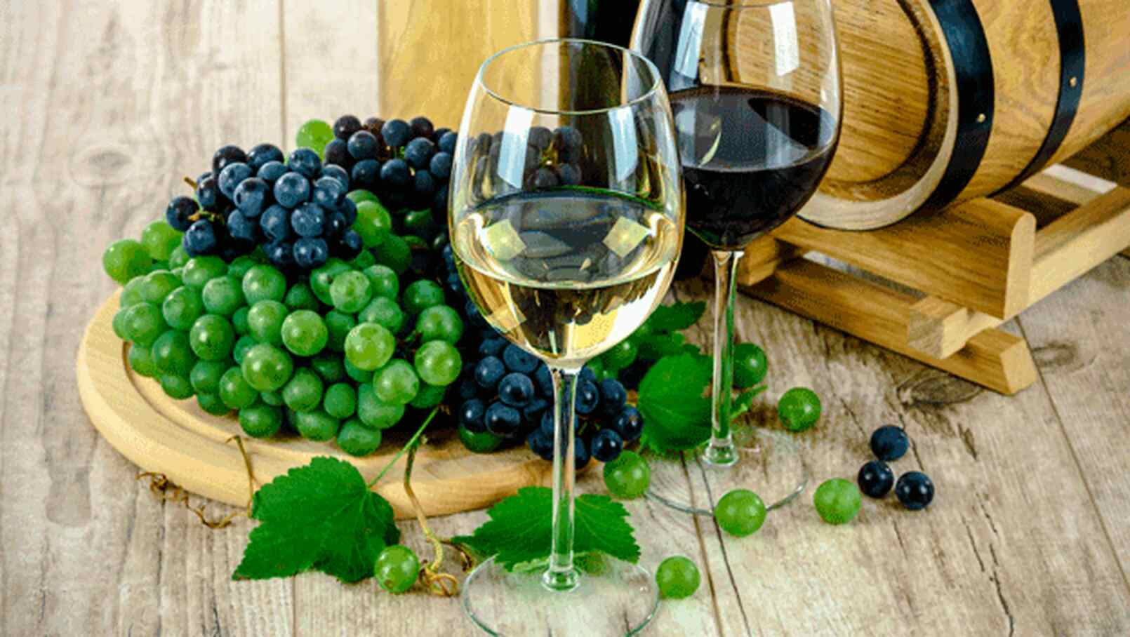 Cosecha Especial Wines